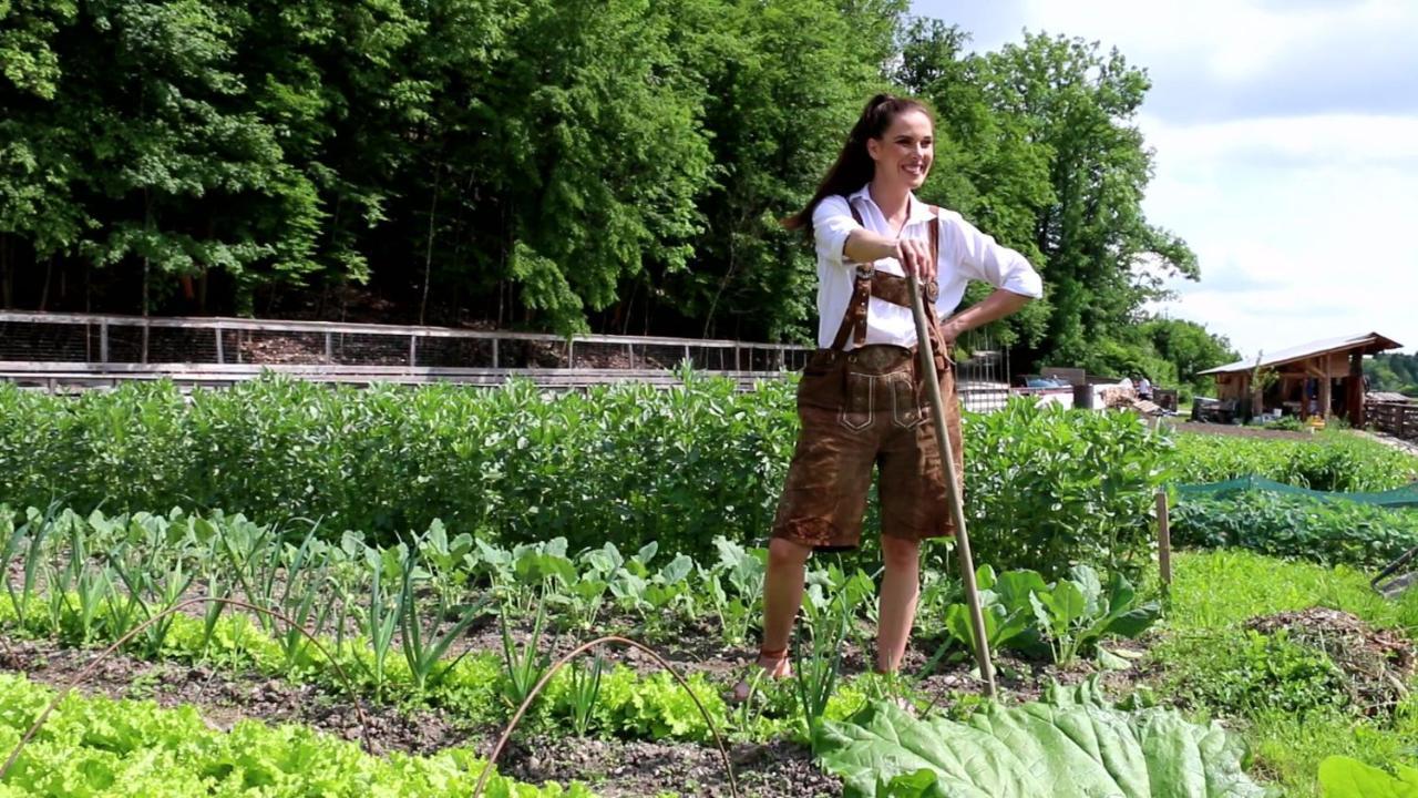 Slovenia Eco Resort Stahovica Εξωτερικό φωτογραφία