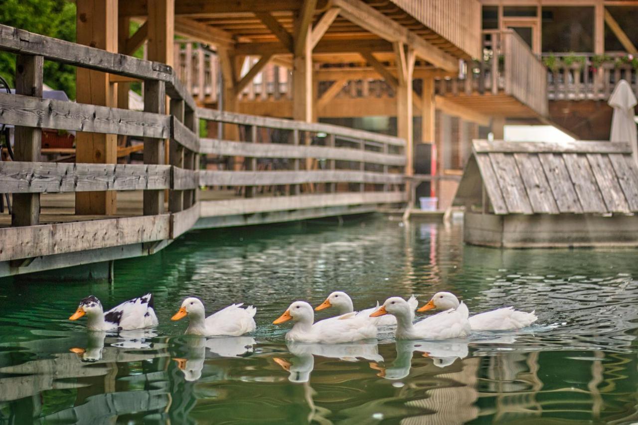 Slovenia Eco Resort Stahovica Εξωτερικό φωτογραφία