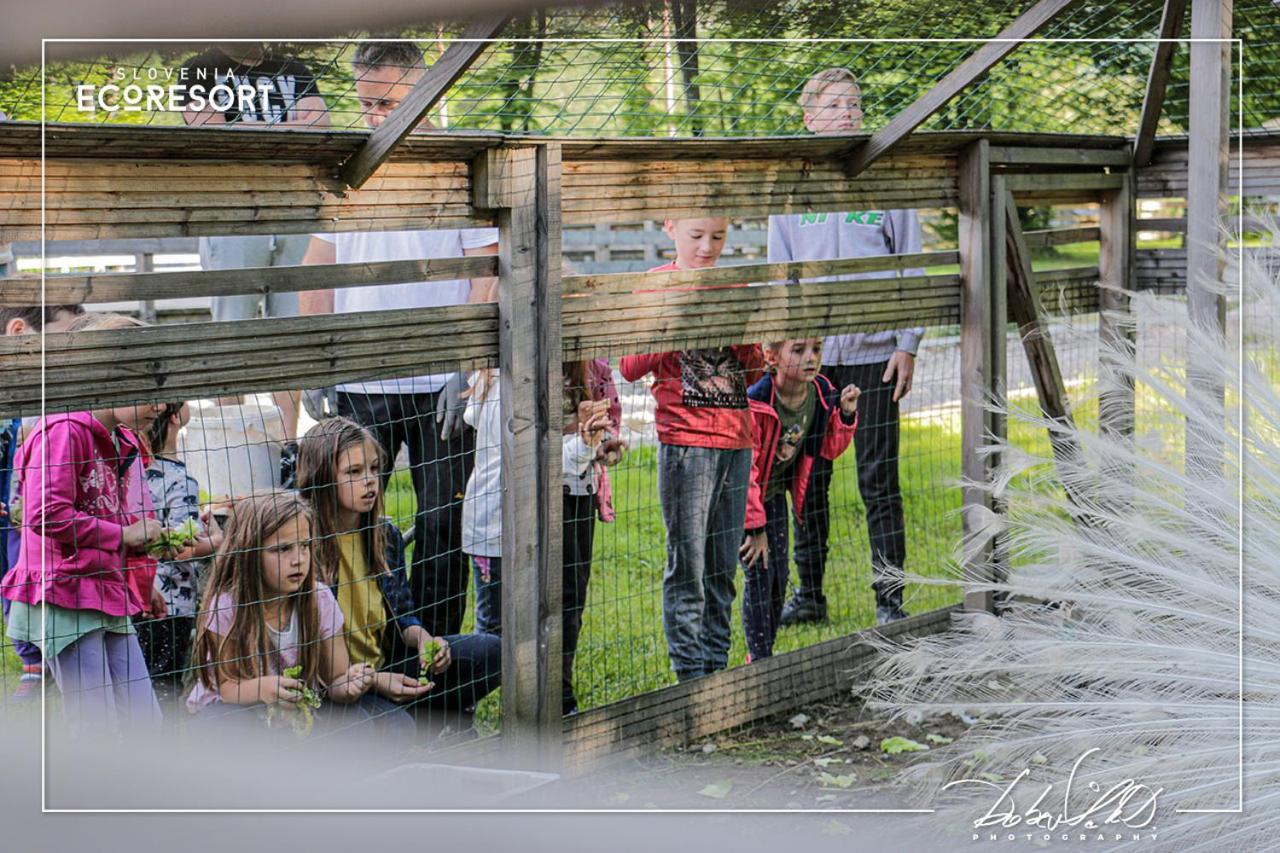 Slovenia Eco Resort Stahovica Εξωτερικό φωτογραφία