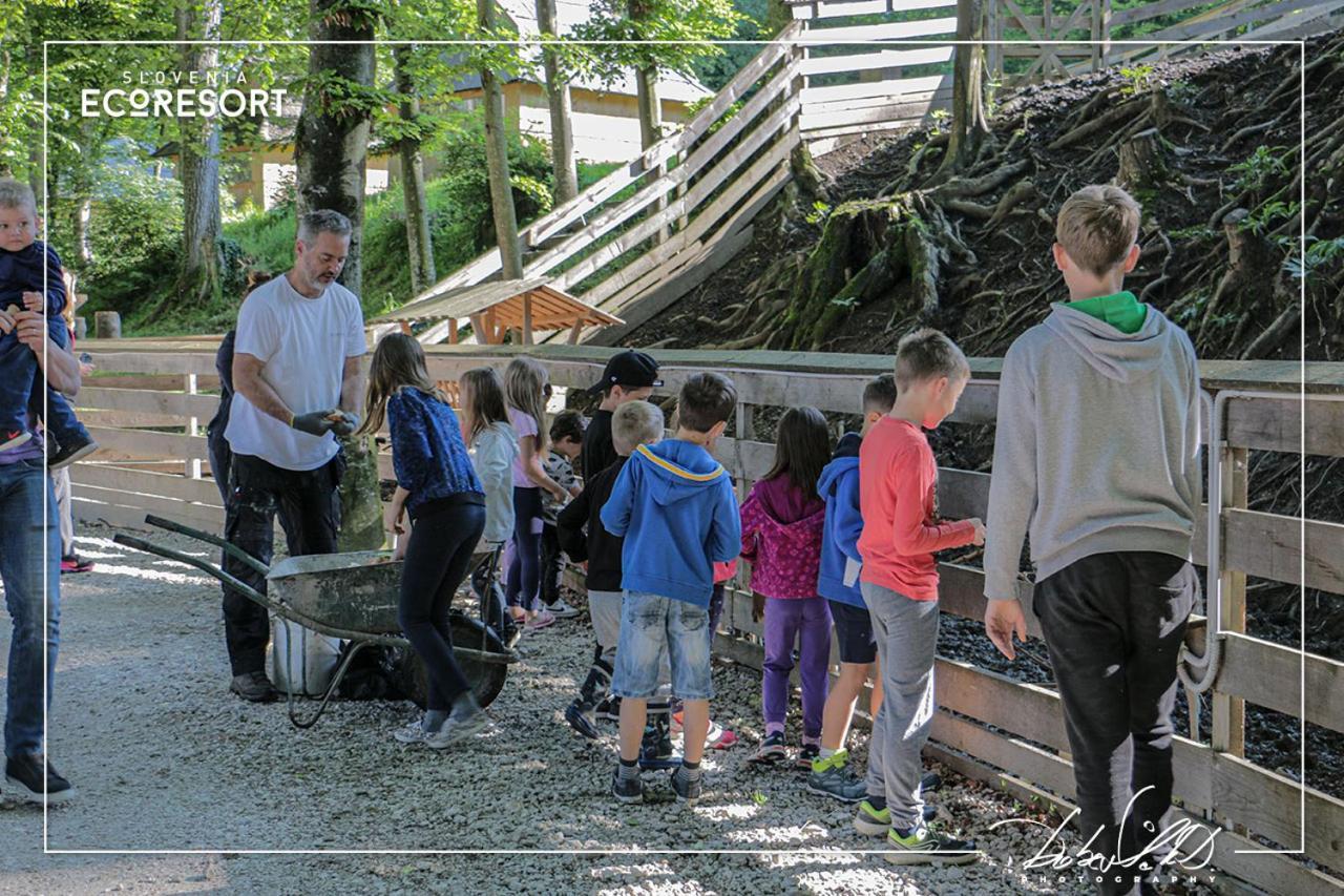 Slovenia Eco Resort Stahovica Εξωτερικό φωτογραφία