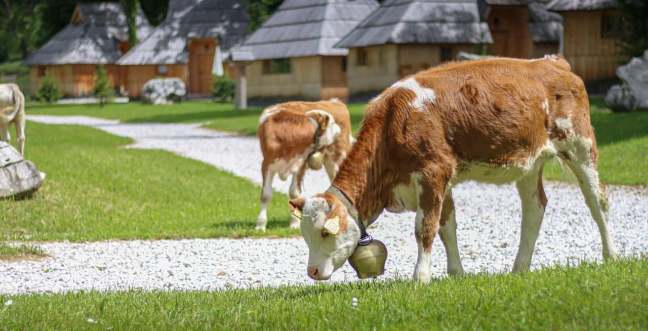 Slovenia Eco Resort Stahovica Εξωτερικό φωτογραφία