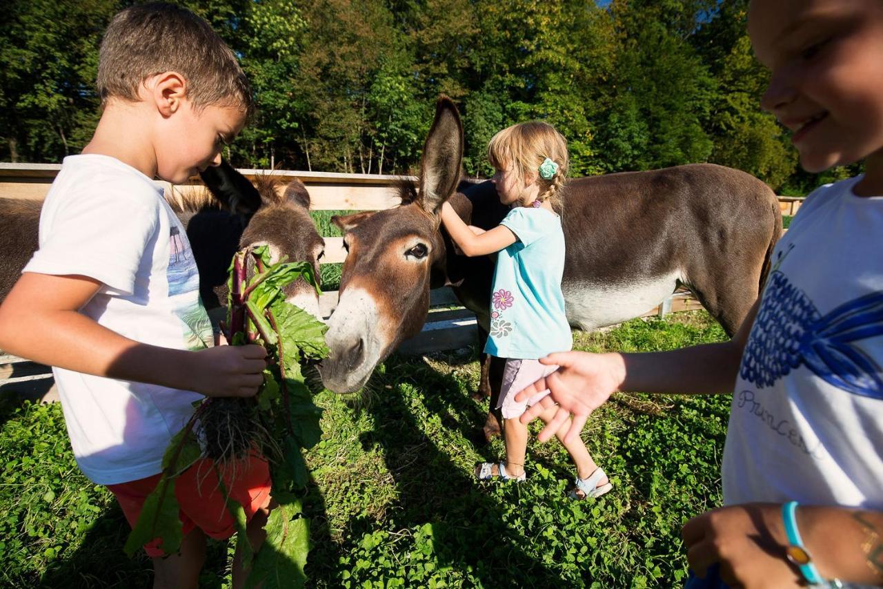 Slovenia Eco Resort Stahovica Εξωτερικό φωτογραφία