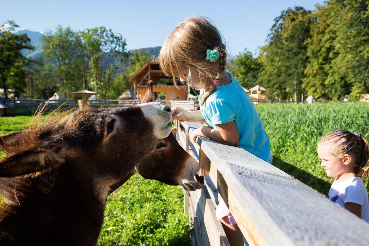 Slovenia Eco Resort Stahovica Εξωτερικό φωτογραφία