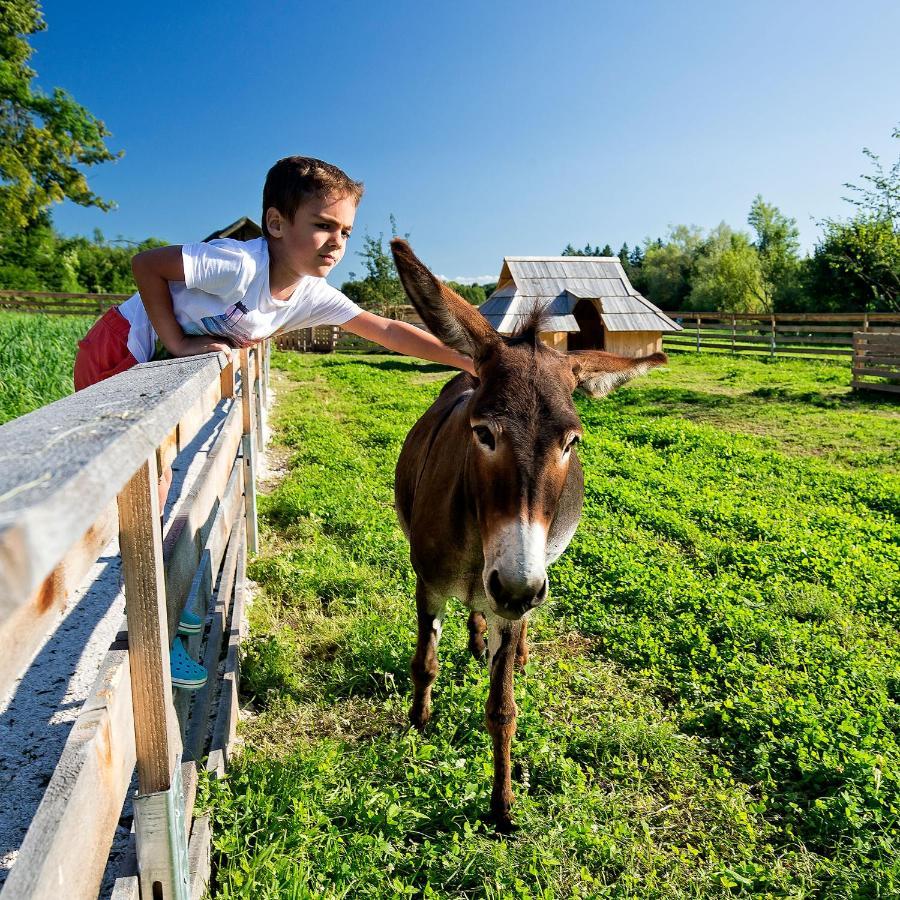 Slovenia Eco Resort Stahovica Εξωτερικό φωτογραφία